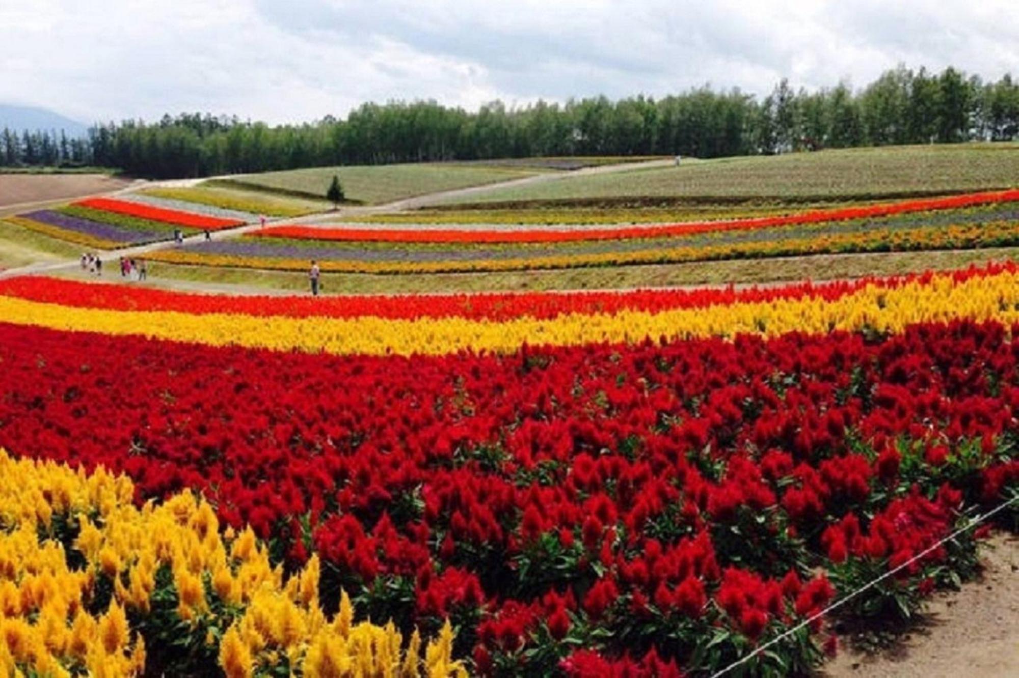 Ark City Asahikawa - Vacation STAY 8528 Bagian luar foto